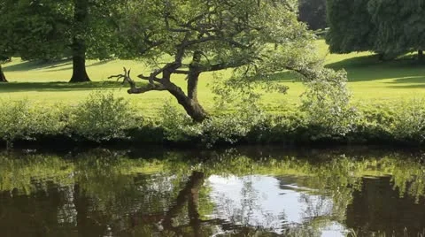 Tranquil on river Video stock 12052029