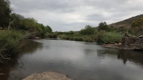 Tranquil river Stock Footage 169391278