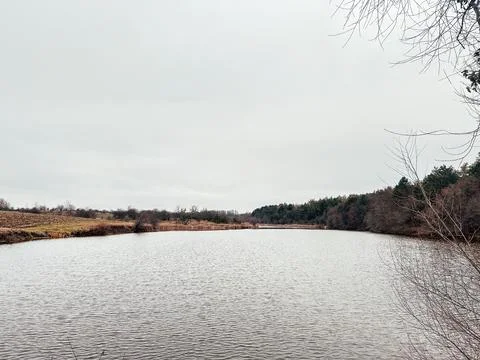 Tranquil River Landscape with Overcast Sky Stock Photos