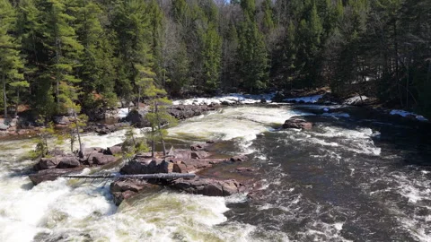 Tranquil River Rapids in Forest – Aerial 4K Drone Footage Stock Footage 307462767