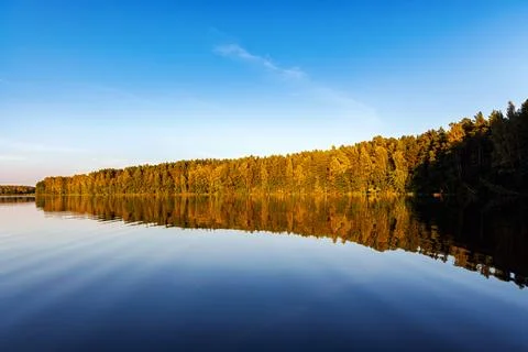Tranquil River Reflections of Autumn Trees Stock-Fotos