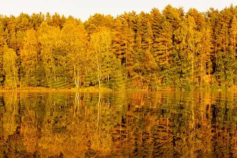 Tranquil River Reflections of Autumn Trees Stock Photos