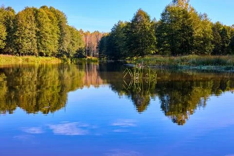 Tranquil River Reflections of Autumn Trees Stock Photos