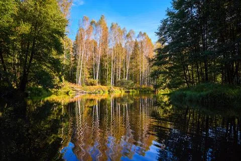 Tranquil River Reflections of Autumn Trees Stock Photos
