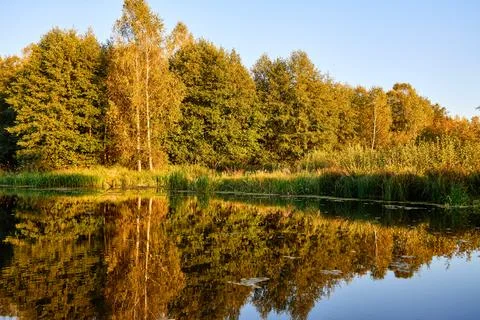 Tranquil River Reflections of Autumn Trees Stock Photos