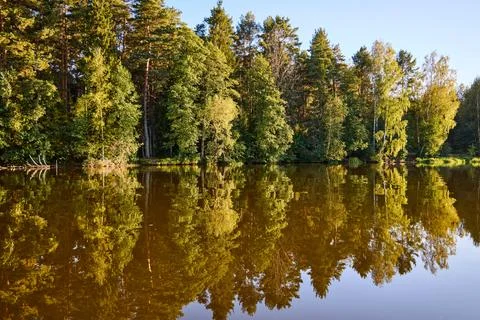 Tranquil River Reflections of Autumn Trees Stock-Fotos