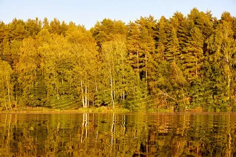 Tranquil River Reflections of Autumn Trees Stock Photos