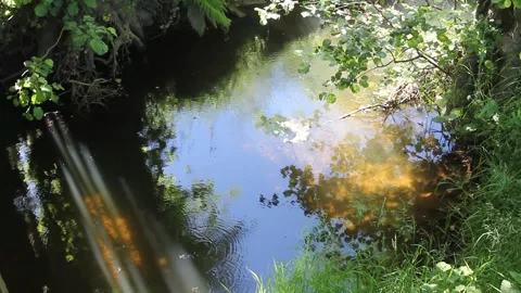 Tranquil River Ripple with Sunbeams and Green Reflections Stockbeeldmateriaal 336143736