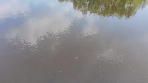 Tranquil River Ripples with Tree Reflections and Blue Sky – 4K Drone Footage 스톡 동영상 310972869