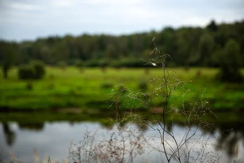 Tranquil river scene with greenery, reflections, and soft clouds on a peaceful Stock Photos