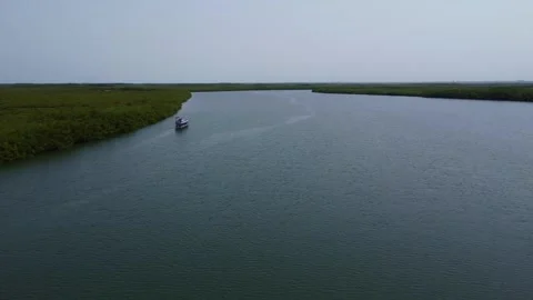 A tranquil river scene with lush green banks under a cloudy sky and a boat Stock Footage 318221663