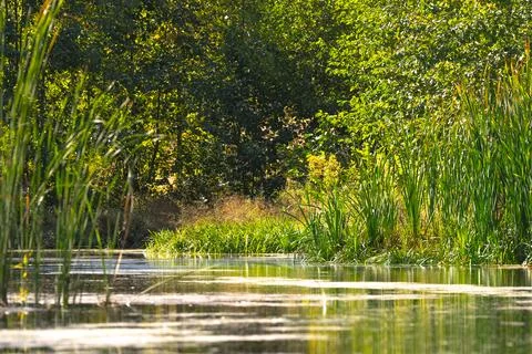Tranquil River Scene Stock Photos