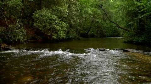 Tranquil River in slow motion surrounded by lush foilage Stock Footage 21243879