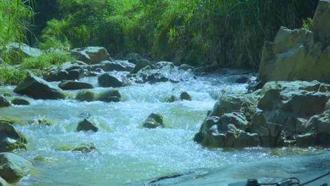 Tranquil River Stream Flowing Through Nature Stock Footage 283702689