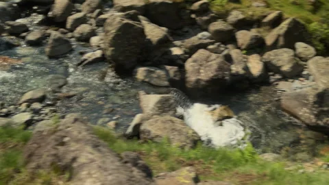 Tranquil River Stream with Waterfall at Scafell Pike Stock Footage 303916056