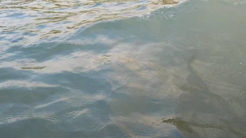 Tranquil river surface gradually transforming, developing increasing waves and Stock-Footage 301917937