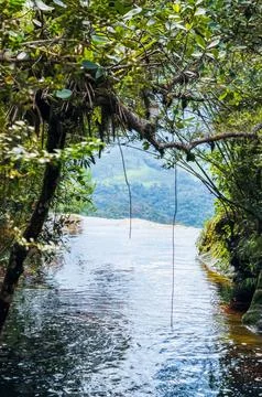 Tranquil River Surrounded by Lush Greenery, window to heaven Foto stock