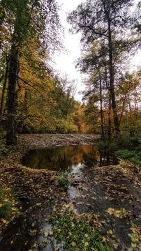 A tranquil river surrounded by vibrant fall leaves Stock Photos