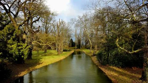 Tranquil River Through Winter Trees Stock Photos