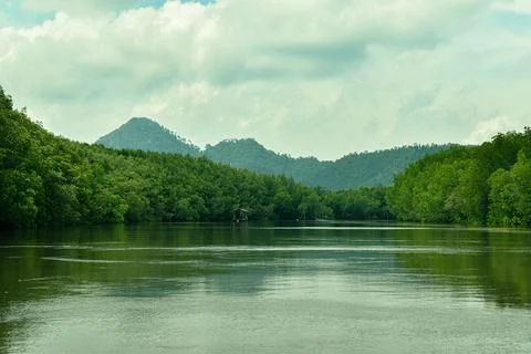 Tranquil River View with Tropical Mountain Background 库存照片