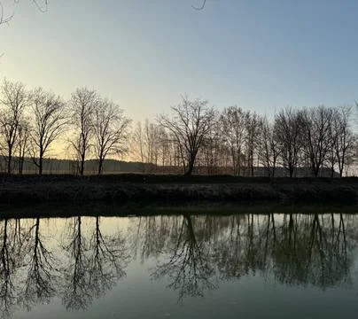 Tranquil Riverbank with Leafless Trees Reflected at Dusk Stock Photos