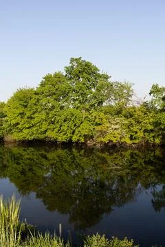 Tranquil Riverbank Scene Featuring a Worn Wooden Boat and Lush Green Foliage Stock Photos