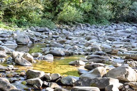 Tranquil riverbed scene featuring smooth stones and pebbles, surrounded by .. Stock Photos