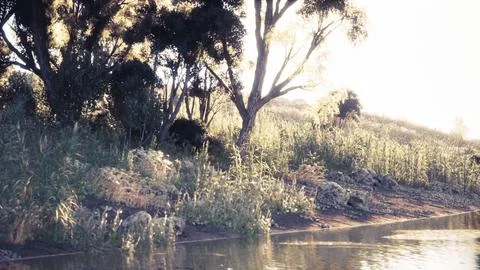 Tranquil riverside landscape at dawn with lush vegetation and gentle water Stock Illustration