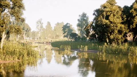 Tranquil riverside landscape with lush trees and calm water reflections Stock Illustration