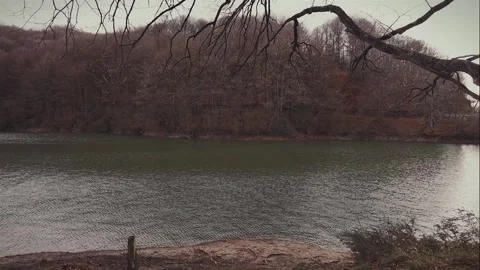 A tranquil riverside scene with bare trees reflecting the somber beauty of Stock Footage 331091398