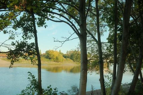 Tranquil Riverside Scene Framed by Trees Foto stock