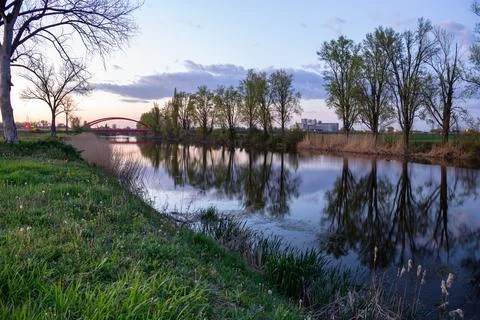 Tranquil Riverside Scene With Trees, Reflections, and Distant Bridge at Sun.. Stock Photos