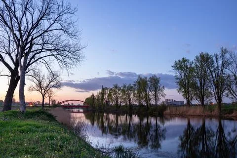 Tranquil Riverside Scene With Trees, Reflections, and Distant Bridge at Sun.. Stock Photos
