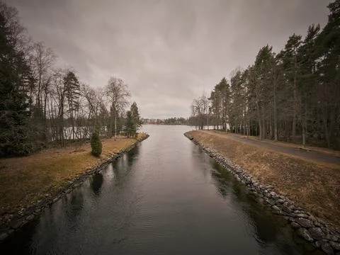Tranquil Riverside Setting Featuring Leafless Pines And Overcast Sky Stock Photos