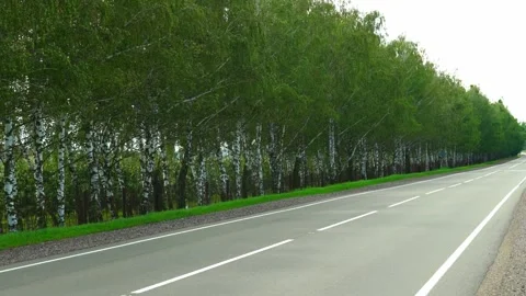 A tranquil road gracefully stretched out before me, flanked on both sides by a d Stock Footage 342582972