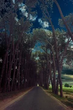 Tranquil road Stock Photos