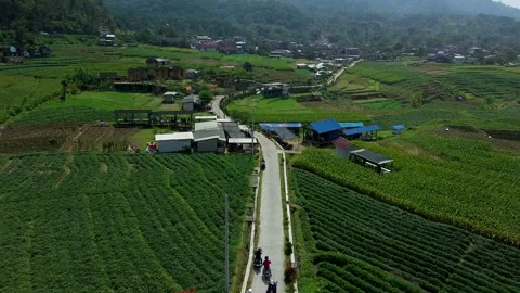 Tranquil rural landscape and path in Trawas Mojokerto August 2 2026 Stock Footage 341814606