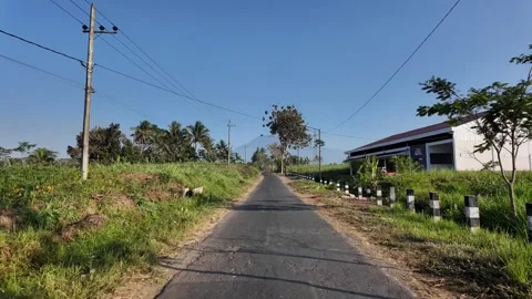 Tranquil rural road with palm trees and lush green fields Stock Footage 345201437