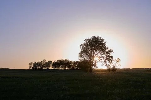 Tranquil rural scene at sunset in Flint Hills, USA Stock Photos