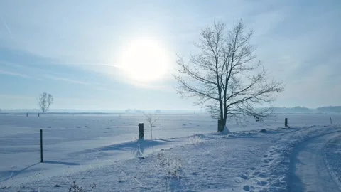 Tranquil Rural Winter Scene Featuring Soft Shadows And Solitary Tree Illuminated Stock-Footage 327051584