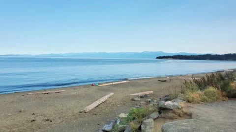 Tranquil sandy beach with driftwood looking across ocean horizon Stock Footage 339561573