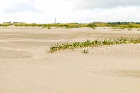 Tranquil sandy beach with gentle grass swaying in the breeze near a lighthouse Foto stock
