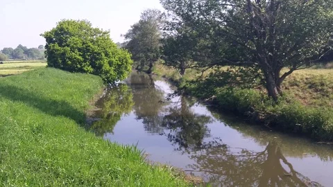 Tranquil Scene With Bird Song. Stock-Footage 130052857