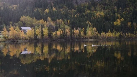 Tranquil scene in the countryside Stock Footage 80318549