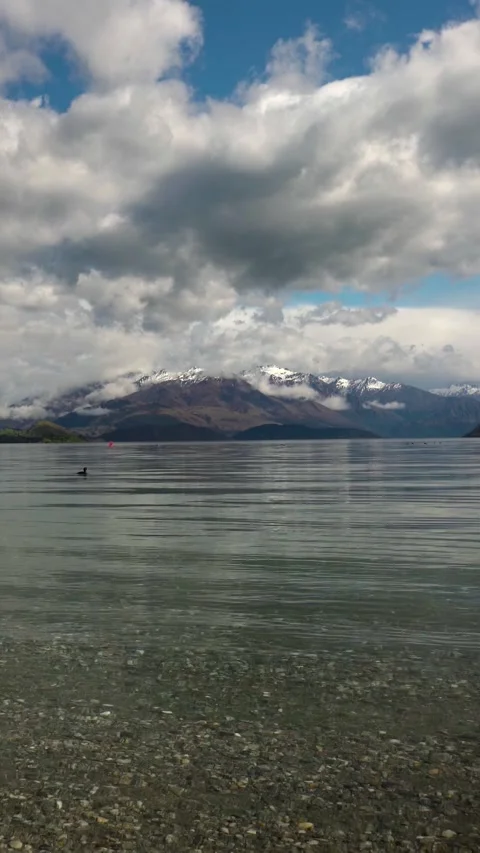 Tranquil scene of ducks floating in lake water surrounded by mountains. Stock Footage 288501602