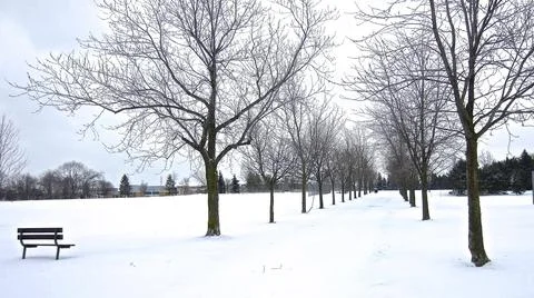 A tranquil scene of the footpath with tree-lined after a heavy snowfall, wint Stock Photos