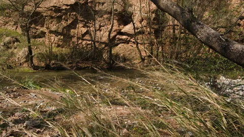A tranquil scene of a gently flowing river surrounded by natural scenery Stock Footage 327016759