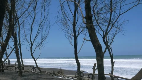 Tranquil Scene at Goa Cemara Beach Near Yogyakarta with Gentle Waves Stock Footage 302525434