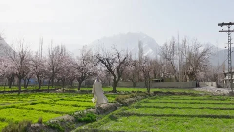 A tranquil scene of a man walking through a lush green field in the foothills of 스톡 동영상 317956884