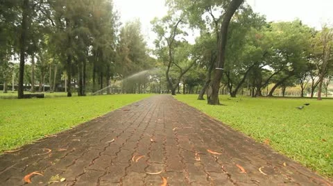 Tranquil scene in the park Stock Footage 20534884